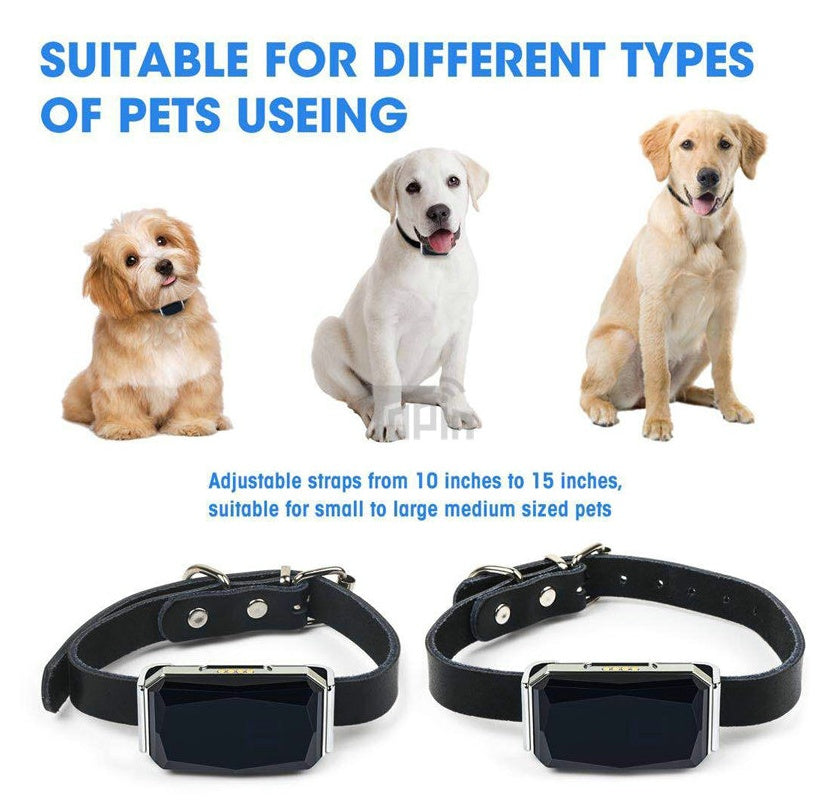 Pet GPS Tracker