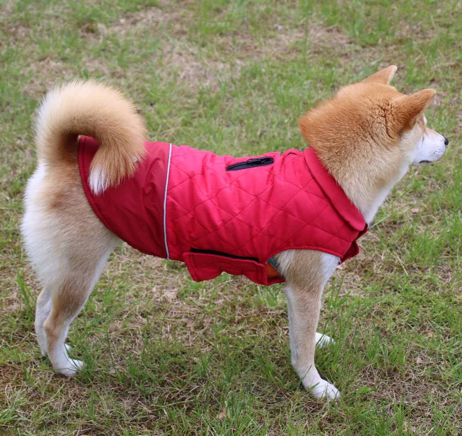 Reversible Dog Coats for Medium Dogs Waterproof Warm Puppy Jacket for Cold Winter,Red M