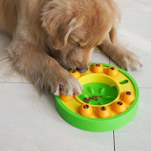 Toys Challenge Pets Increase IQ Interactive Training Game