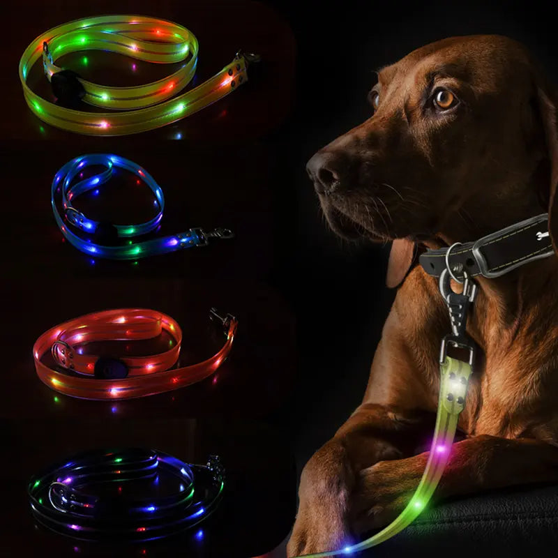 Glow-In-The-Dark Dog Traction Rope,Led,Usb Rechargeable,Personalized Cool Pet Products,Dog Traction Rope, Dog Accessories, Pet Supplies