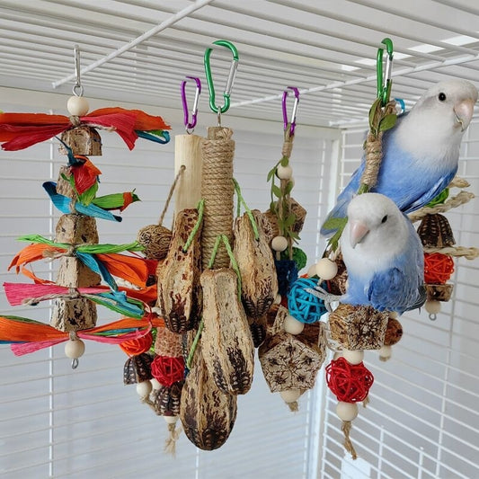 Parrot toys and stand.