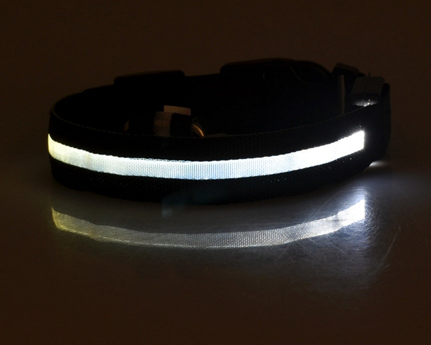 Glowing dog collar.