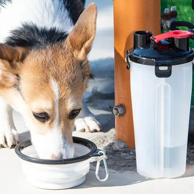 2 in 1 Travel Dog Food & Water Bottle with Two Collapsible Bowls