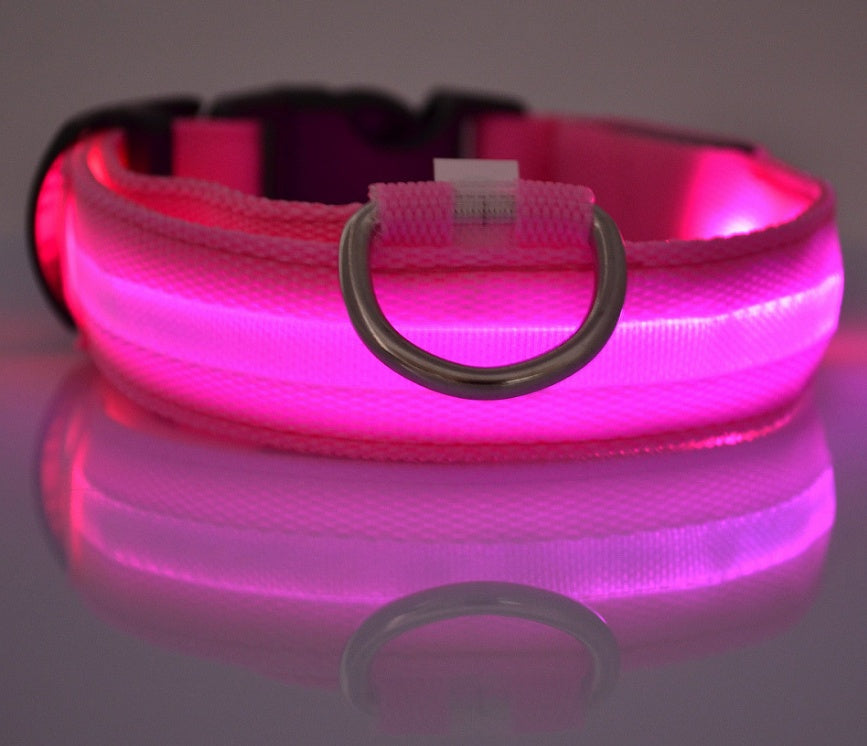 Glowing dog collar.