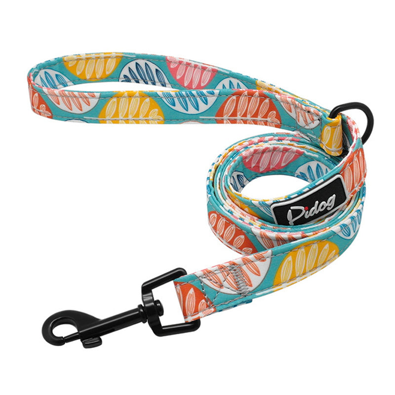 Pet leash and harness