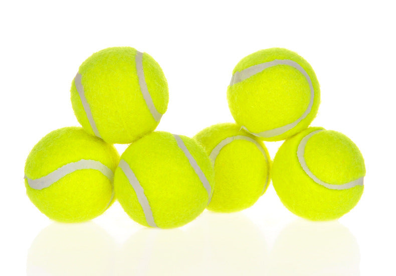 Dog Ball Toy