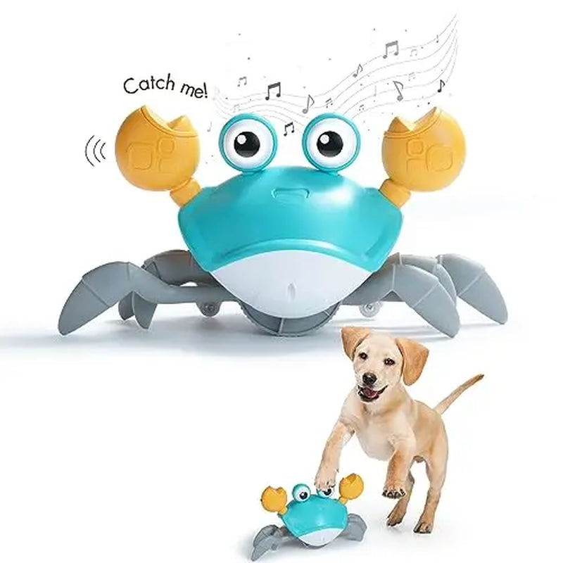 Nocciola Crawling Crab Interactive Dog Toy - Crab Dog Toy That Moves, Blue and Yellow Dog Toys for Boredom and Stimulating (Blue)