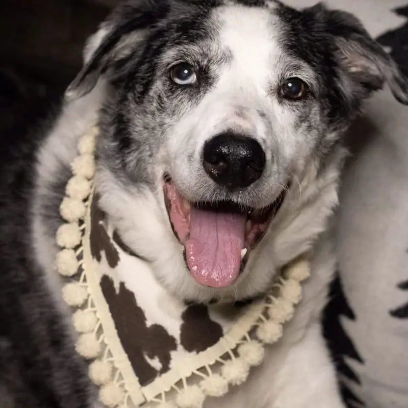 Cowhide Print Slip-On Dog Bandanna