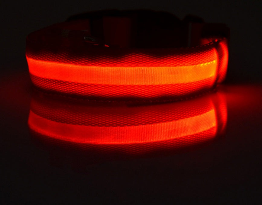 Glowing dog collar.