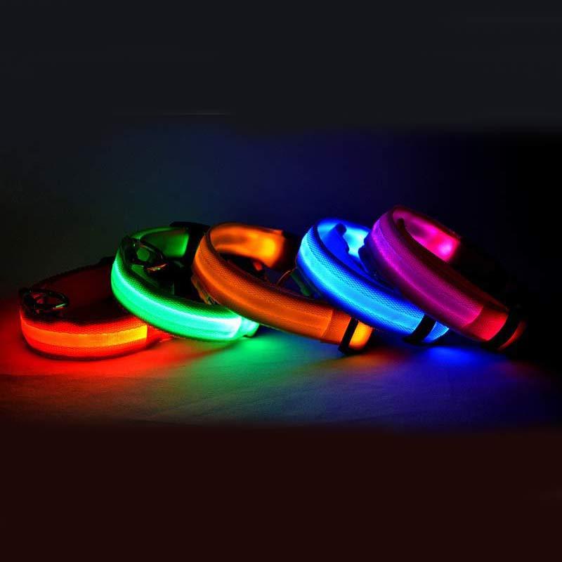 Glowing dog collar.