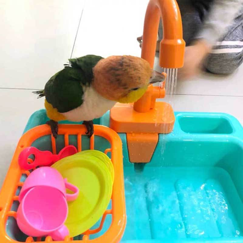 Parrot bathing box.