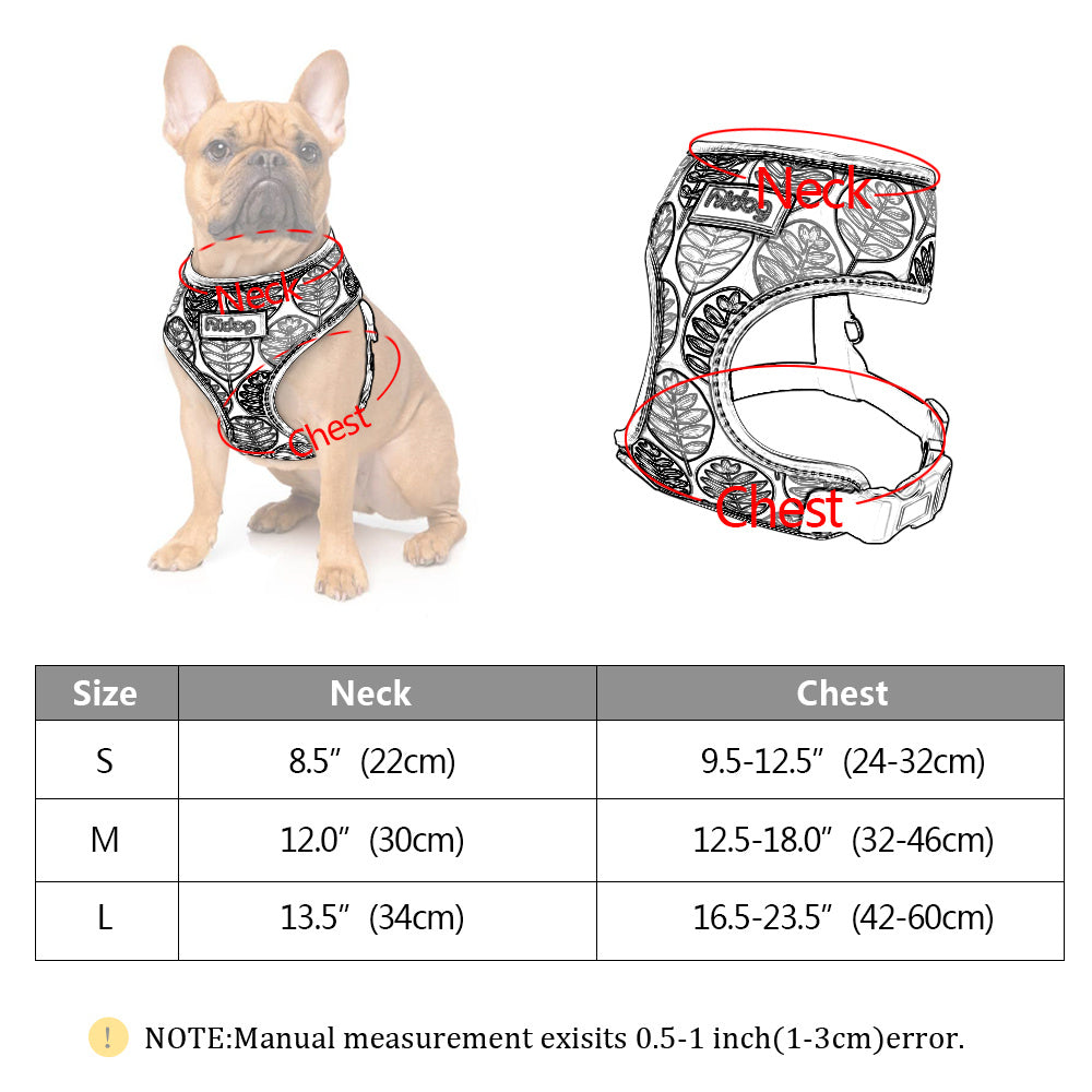 Pet leash and harness