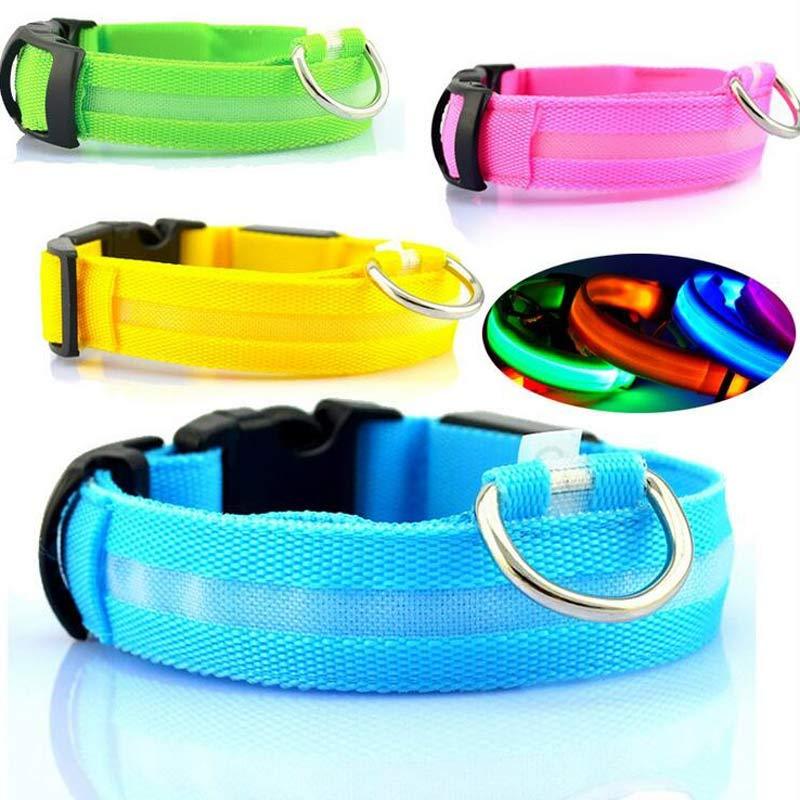 Glowing dog collar.