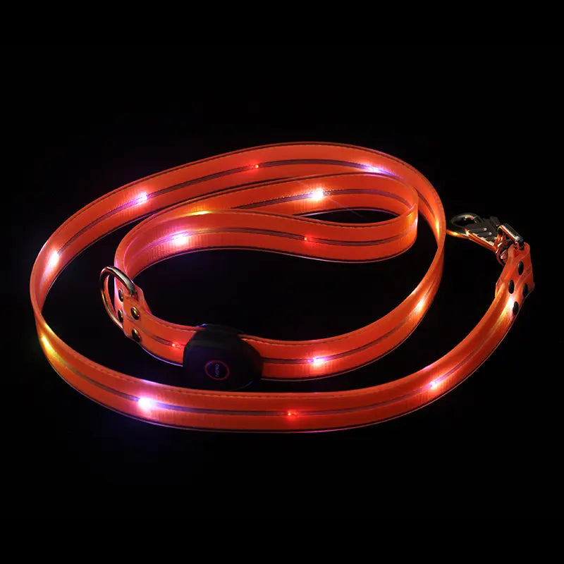 Glow-In-The-Dark Dog Traction Rope,Led,Usb Rechargeable,Personalized Cool Pet Products,Dog Traction Rope, Dog Accessories, Pet Supplies