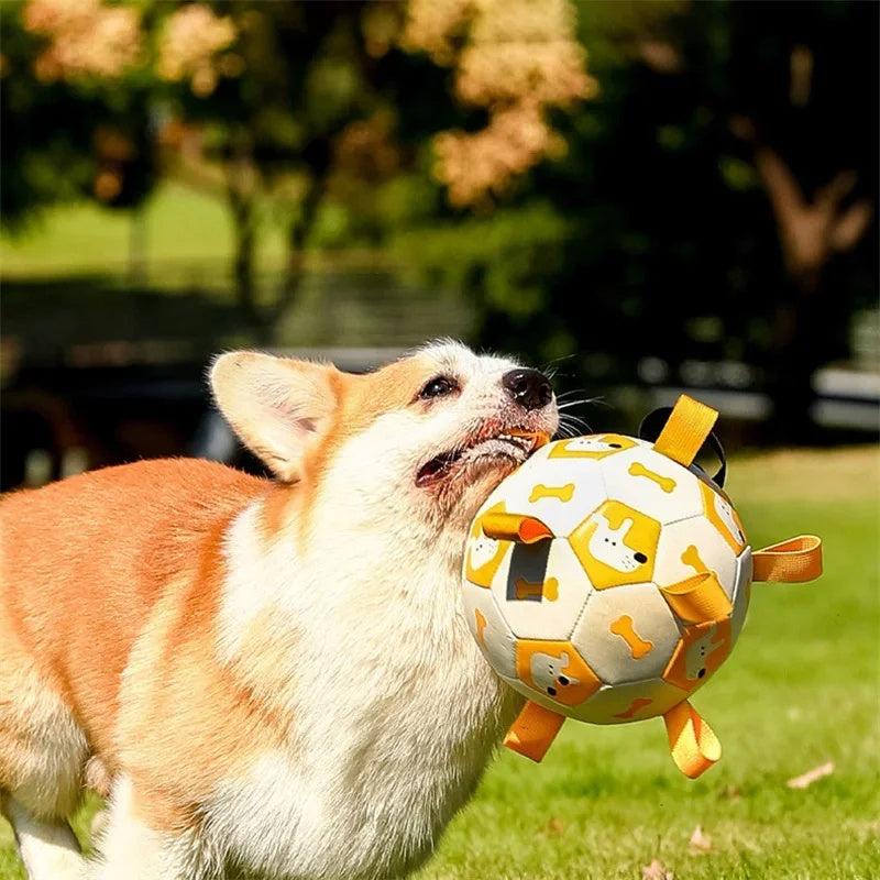 Patterned dog ball.