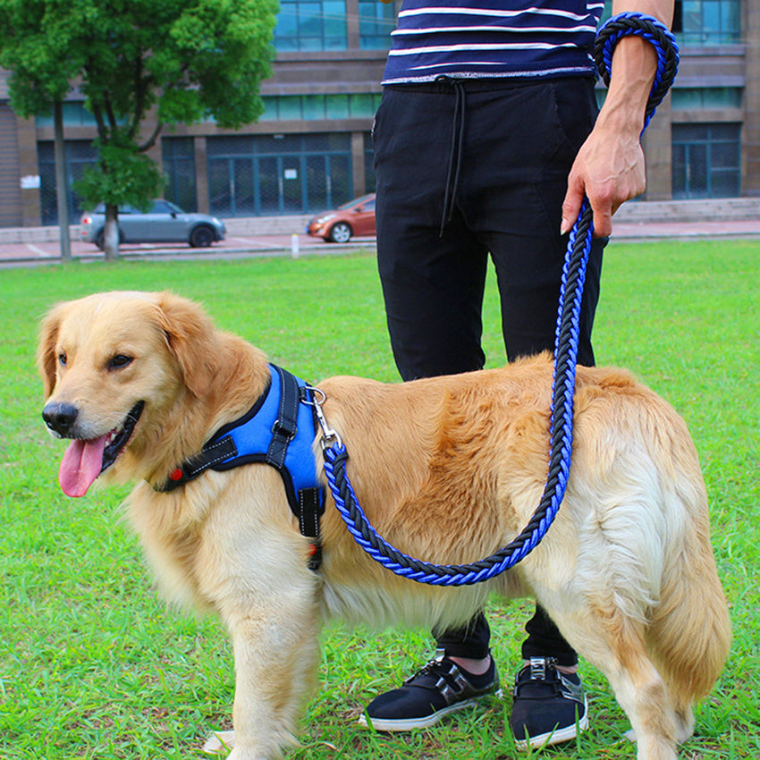 Dog Leash Chest Strap For Dogs.