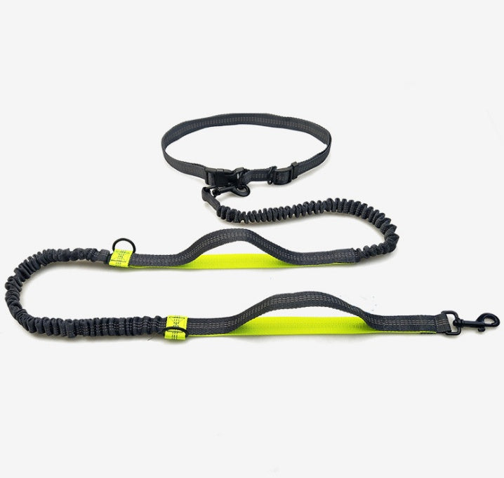 Reflective Double Elastic Dog Leash For Running With Multi-function Features