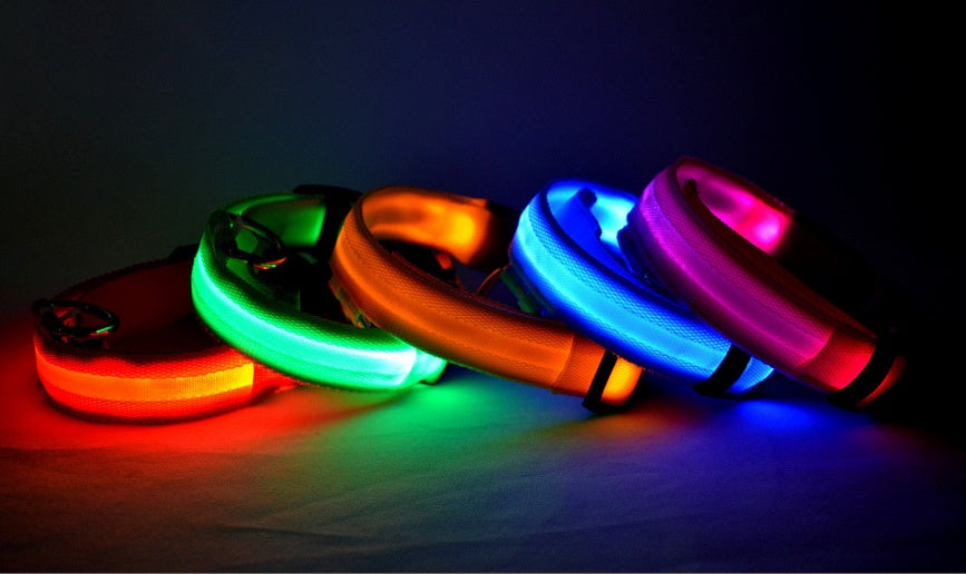 Glowing dog collar.