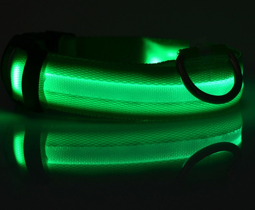 Glowing dog collar.