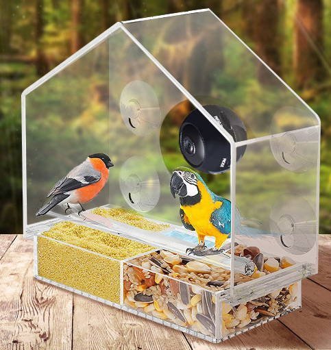 Smart bird camera