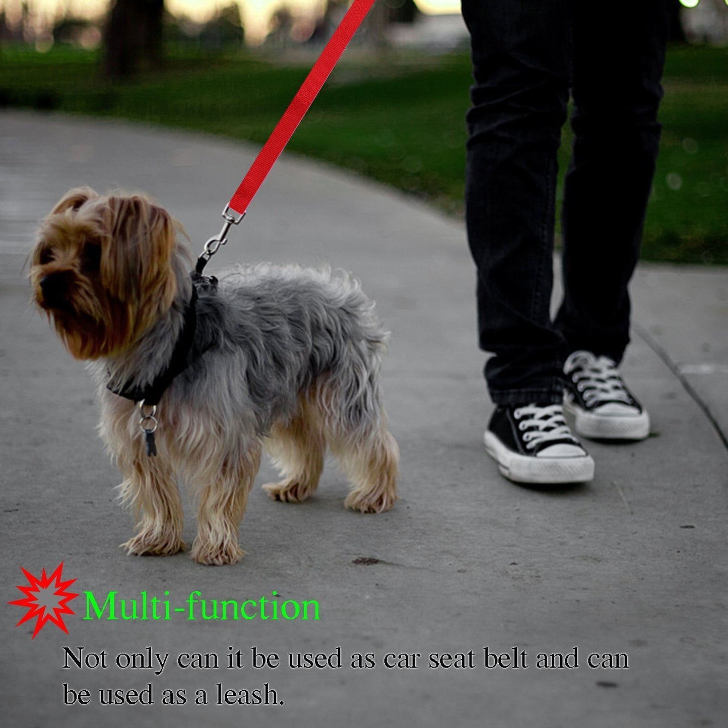 Pet safety leash