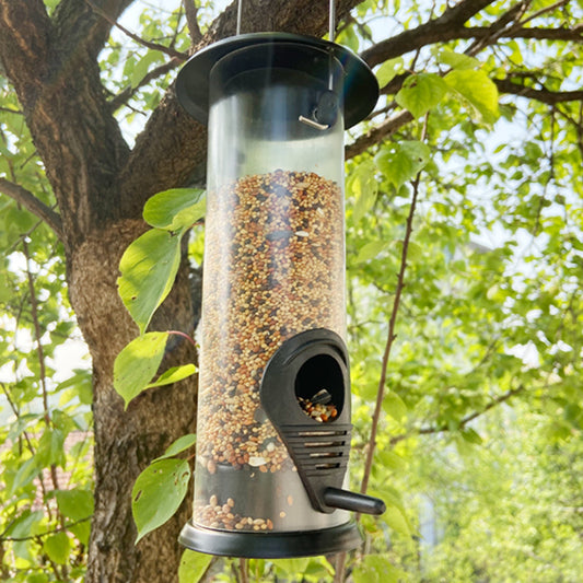 Hanging bird feeder.