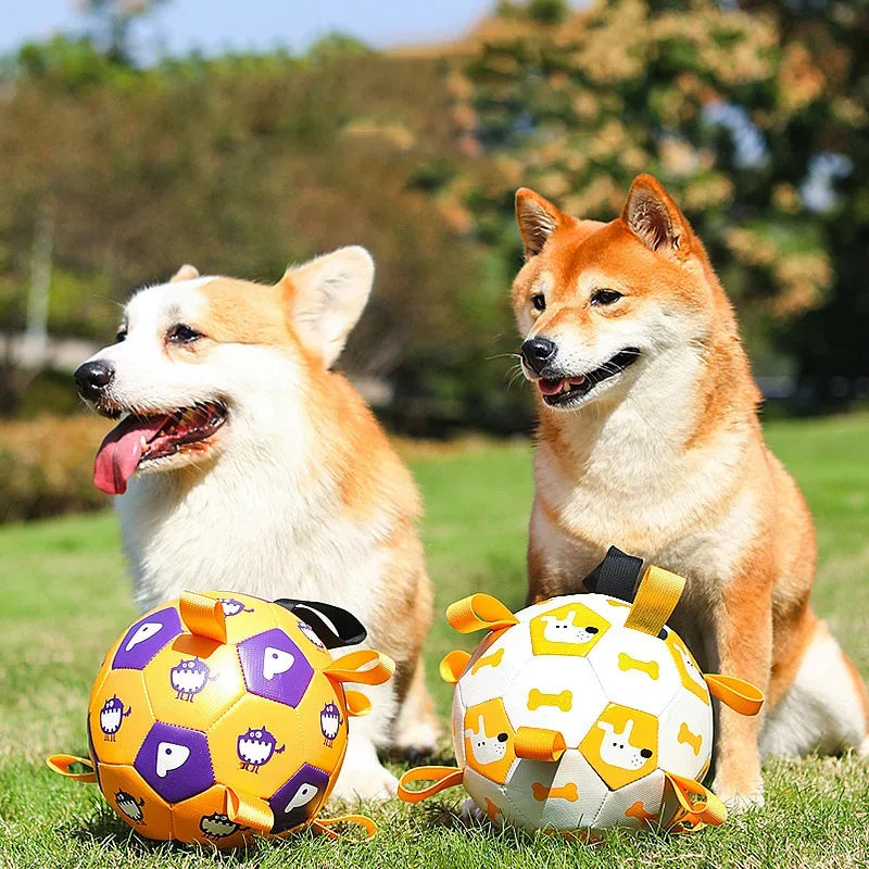 Patterned dog ball.