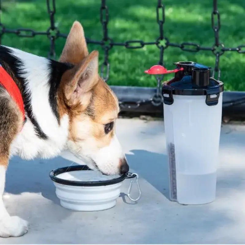 2 in 1 Travel Dog Food & Water Bottle with Two Collapsible Bowls