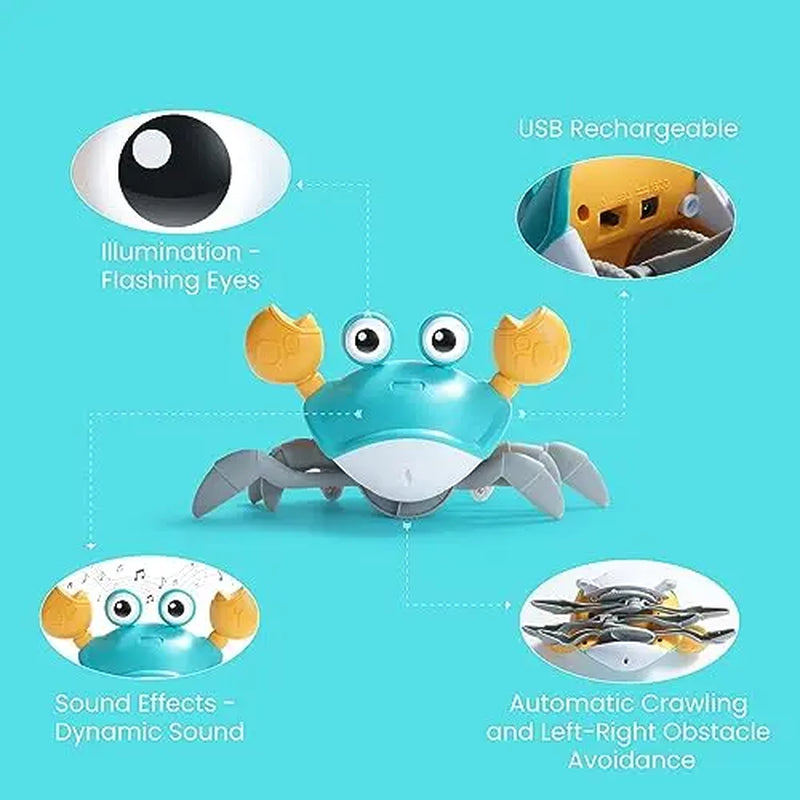 Nocciola Crawling Crab Interactive Dog Toy - Crab Dog Toy That Moves, Blue and Yellow Dog Toys for Boredom and Stimulating (Blue)