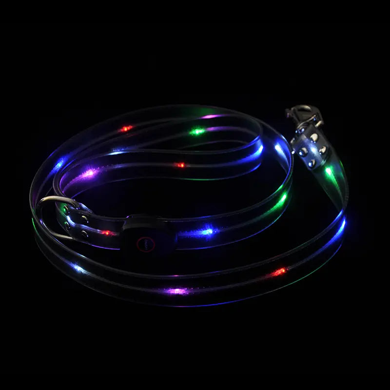 Glow-In-The-Dark Dog Traction Rope,Led,Usb Rechargeable,Personalized Cool Pet Products,Dog Traction Rope, Dog Accessories, Pet Supplies