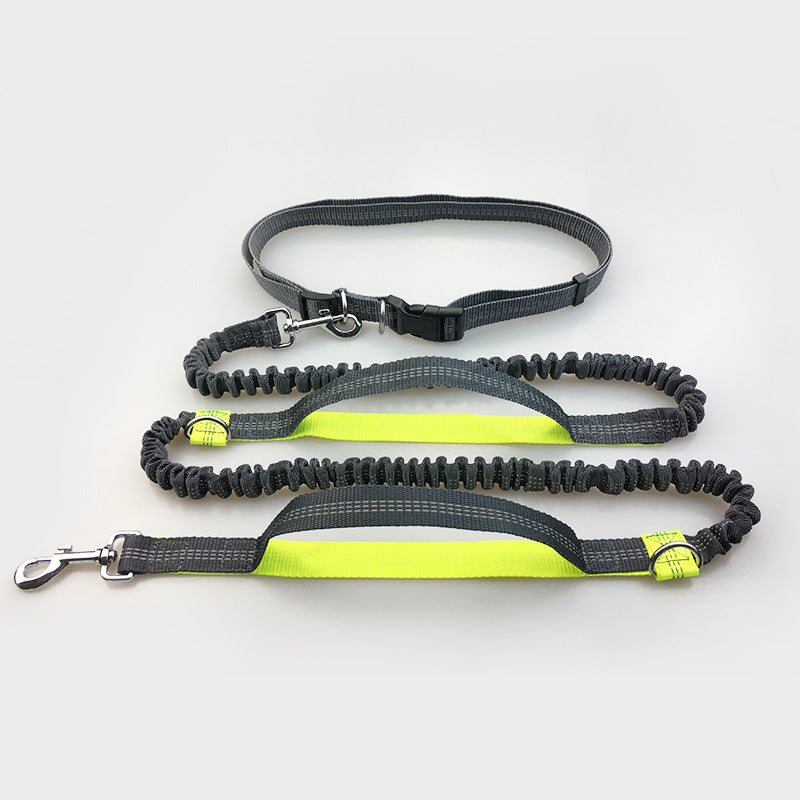 Reflective Double Elastic Dog Leash For Running With Multi-function Features