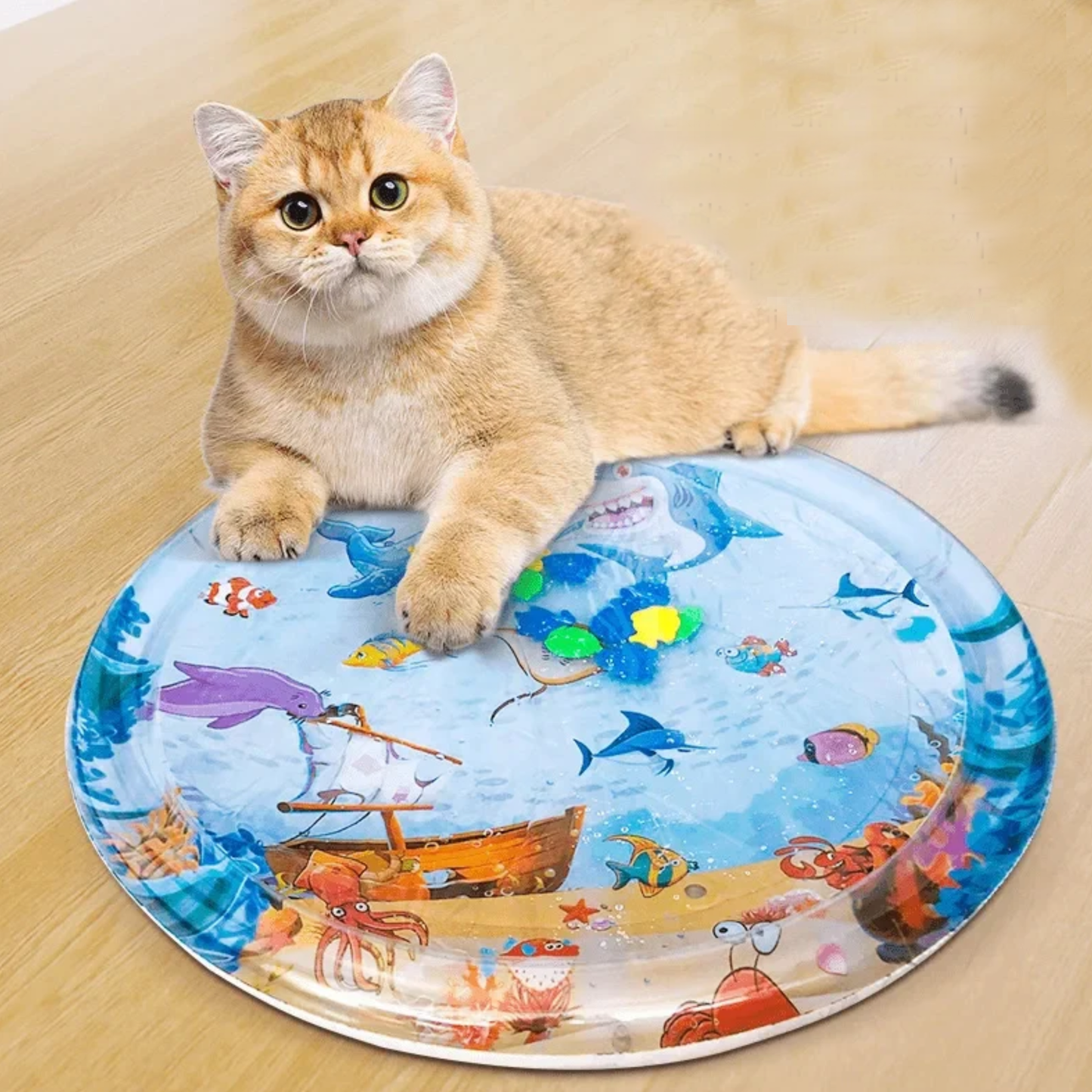 Inflatable Water Playmat for Pets