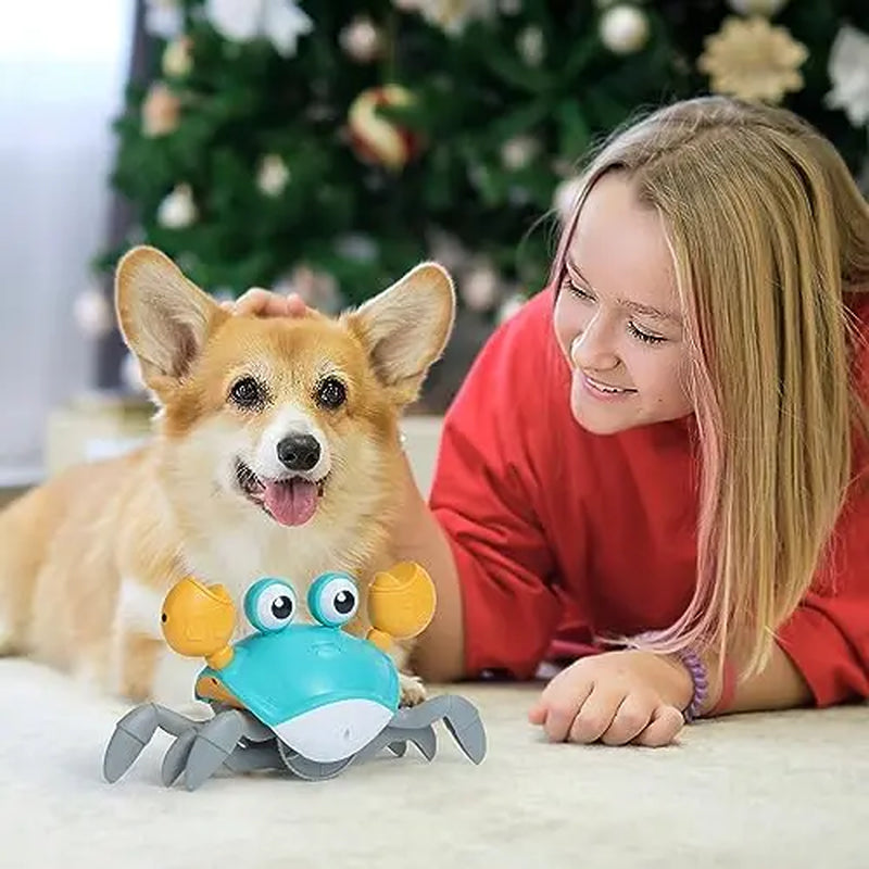 Nocciola Crawling Crab Interactive Dog Toy - Crab Dog Toy That Moves, Blue and Yellow Dog Toys for Boredom and Stimulating (Blue)