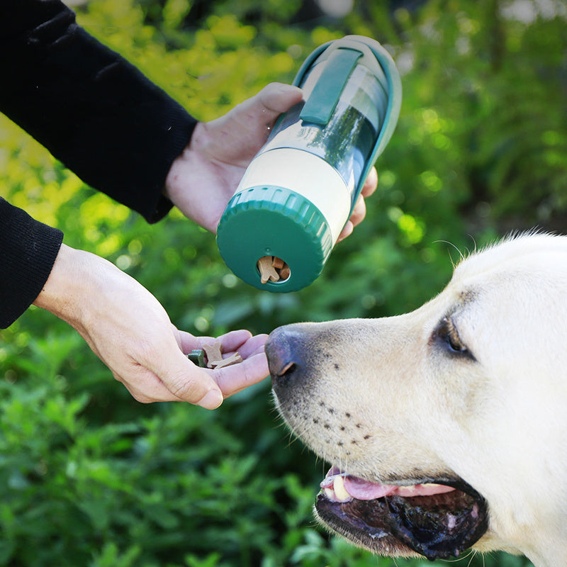 Pet travel bowl