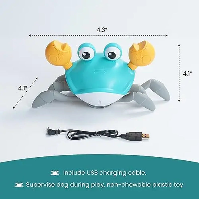 Nocciola Crawling Crab Interactive Dog Toy - Crab Dog Toy That Moves, Blue and Yellow Dog Toys for Boredom and Stimulating (Blue)