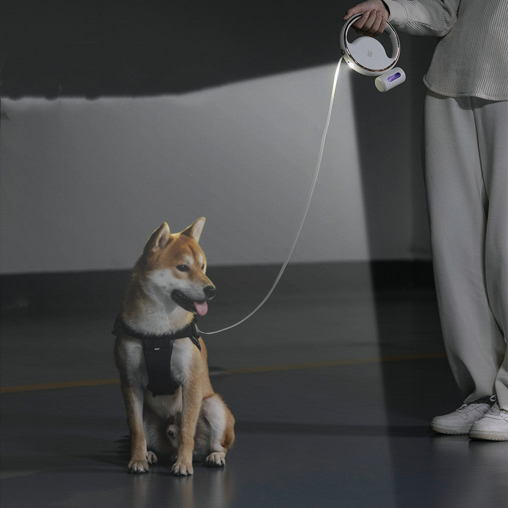 Auto dog leash