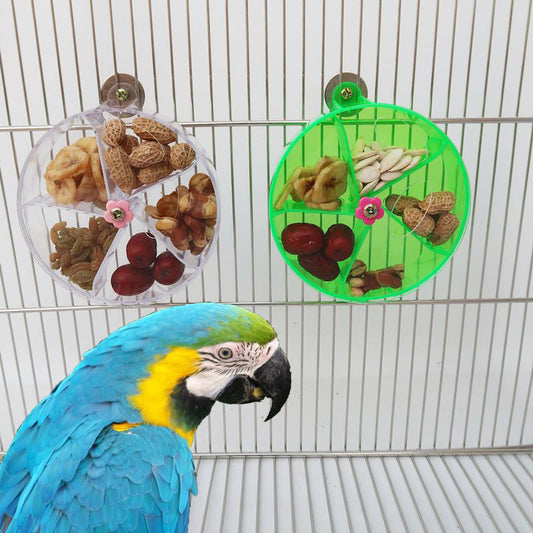 Parrot toy wheel