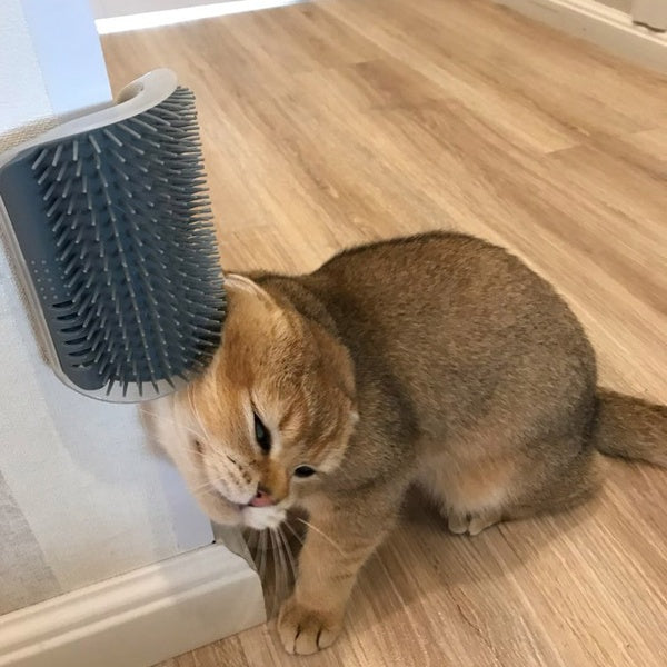 Pet Wall-Mounted Device For Cat Self-Grooming And Rubbing