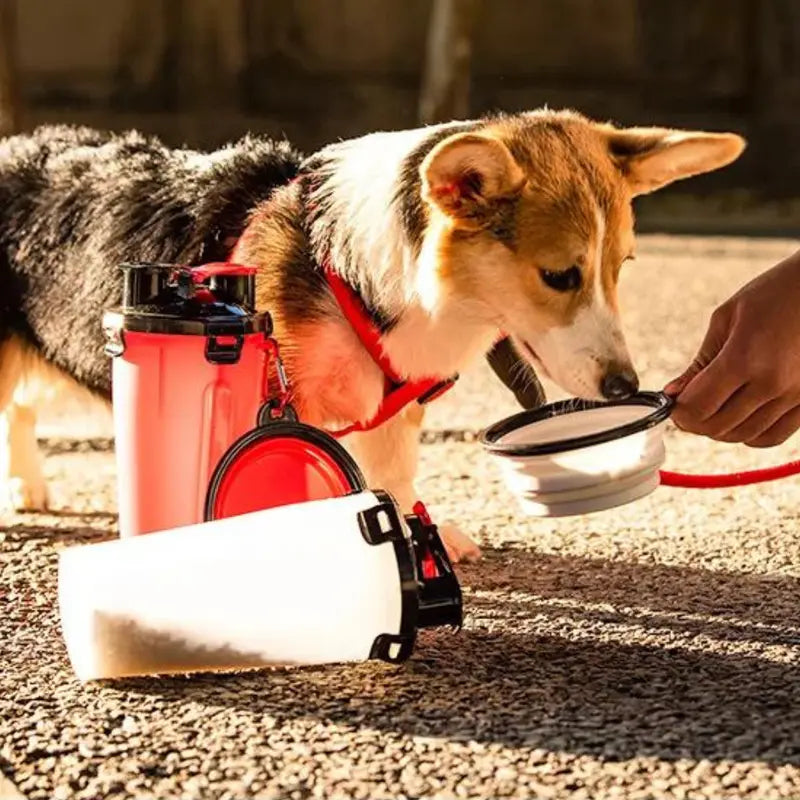 2 in 1 Travel Dog Food & Water Bottle with Two Collapsible Bowls