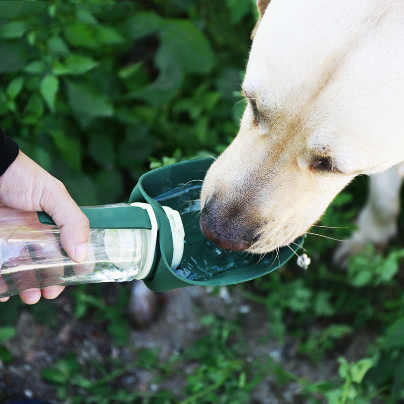 Pet travel bowl